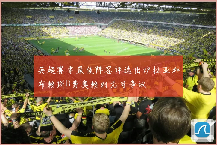 英超赛季最佳阵容评选出炉拉亚加布赖斯B费奥赖利无可争议