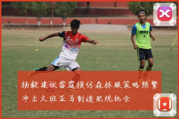 杨毅建议雷霆模仿森林狼策略频繁冲击文班亚马制造犯规机会