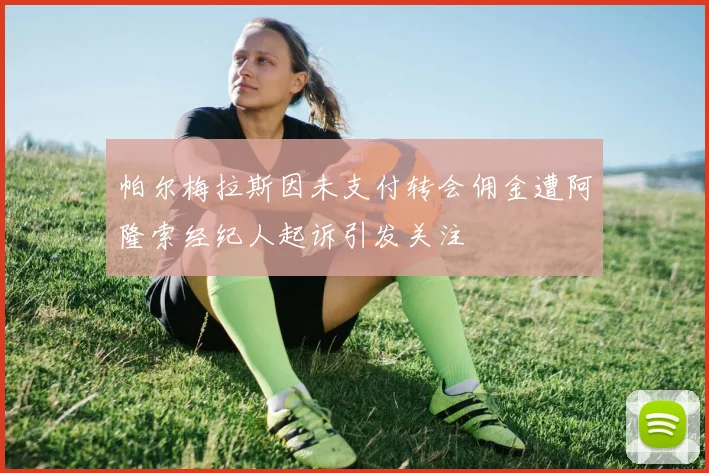 帕尔梅拉斯因未支付转会佣金遭阿隆索经纪人起诉引发关注